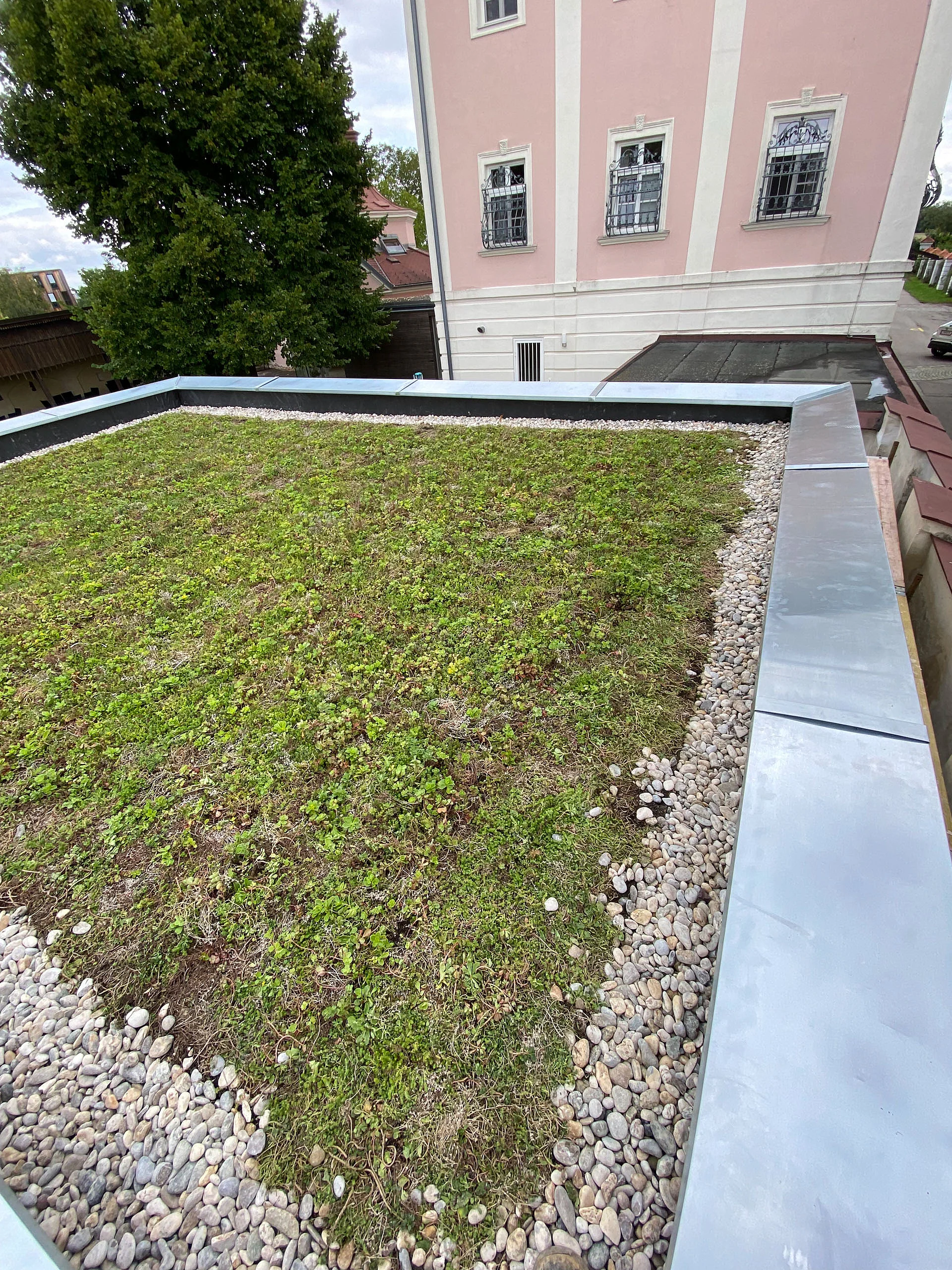 Begrüntes Flachdach