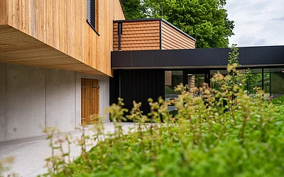 Niedrige frontale Ansicht des Kindergarten Zubaus in Weinburg mit Pflanzen im Vordergrund