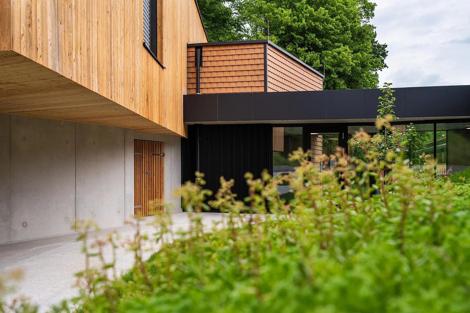 Niedrige frontale Ansicht des Kindergarten Zubaus in Weinburg mit Pflanzen im Vordergrund