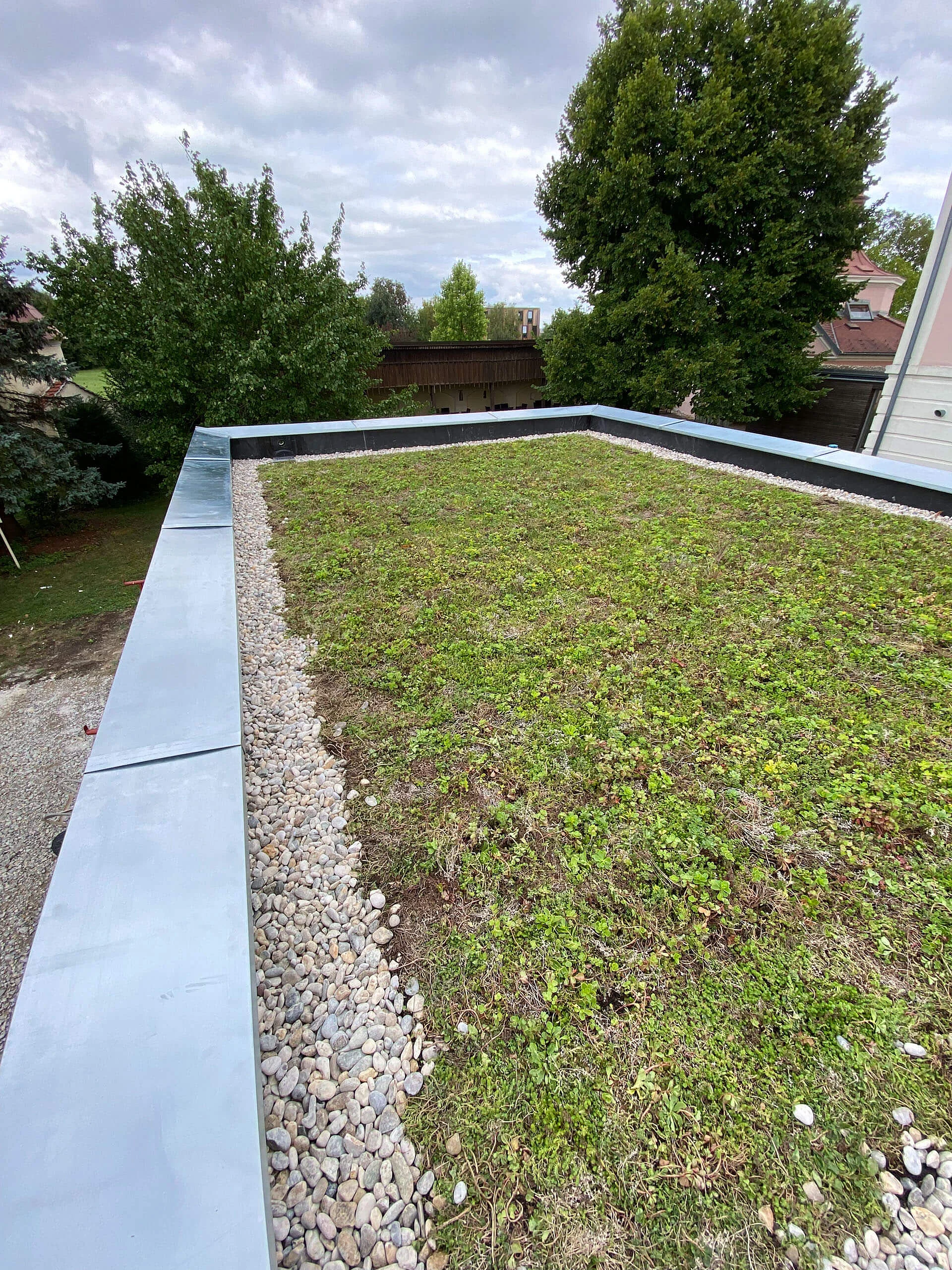 Begrüntes Flachdach
